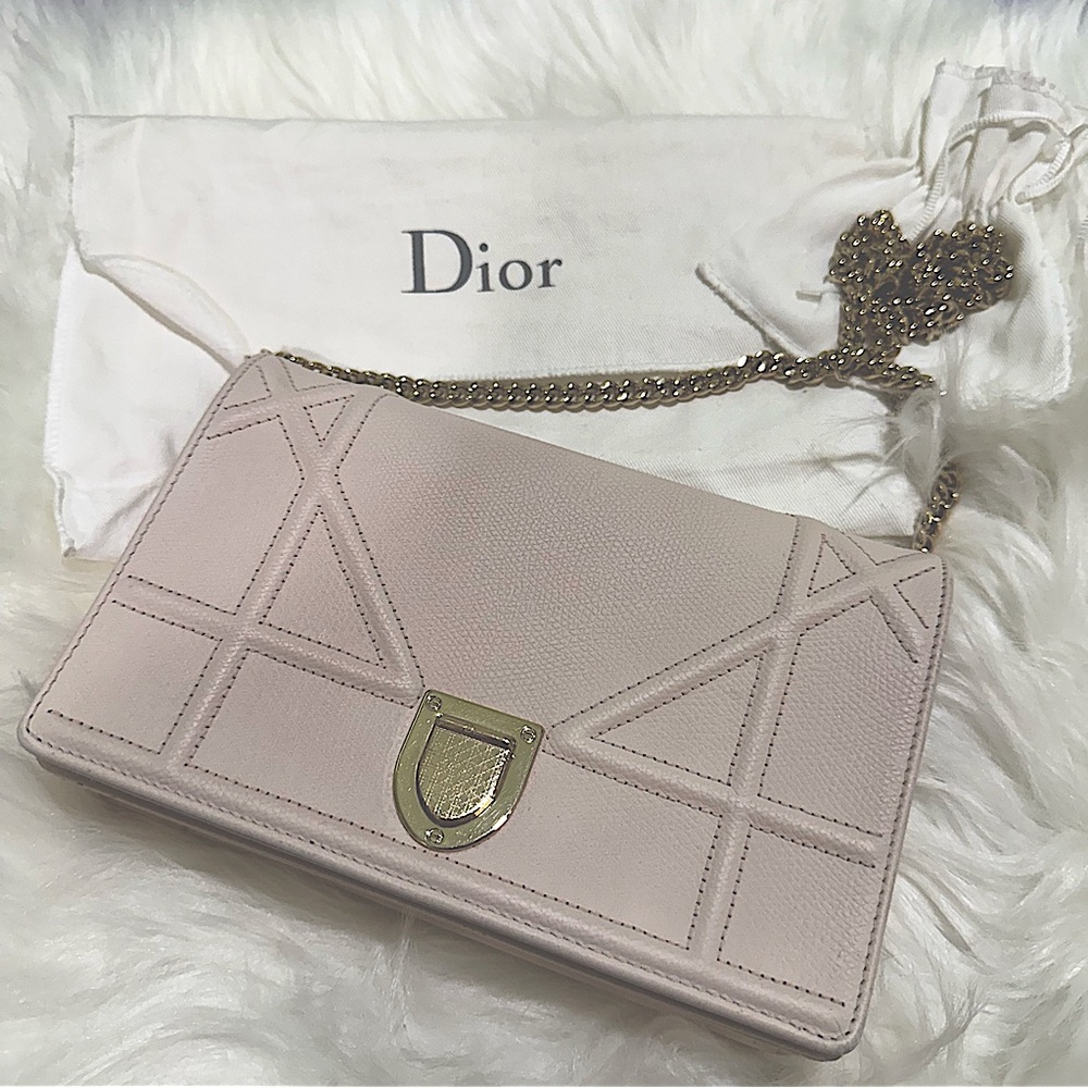 Dior Diorama Nude Pink/Champagne Wallet on Chain